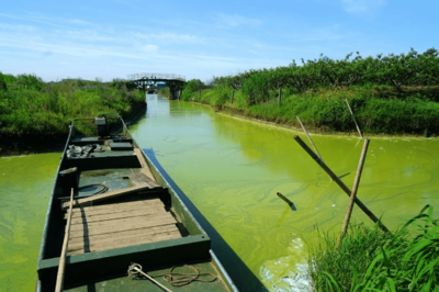 太湖落日，美中不足的遗憾